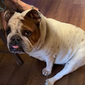 Meet your Posher, Shawn